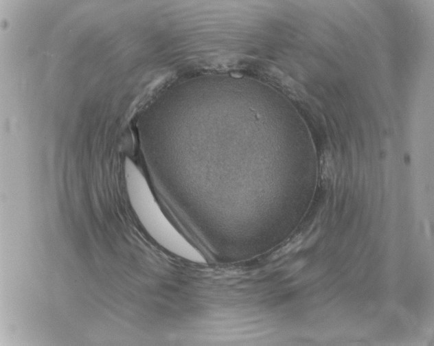 X0000070371202200607072120