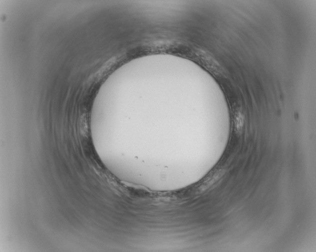 X0000070371204200607072120