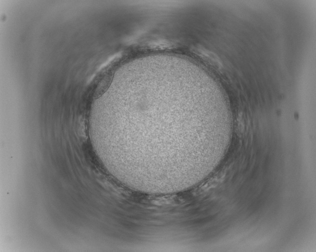 X0000070371205200607072120