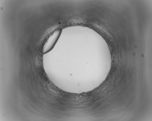 X0000070371207200607072120