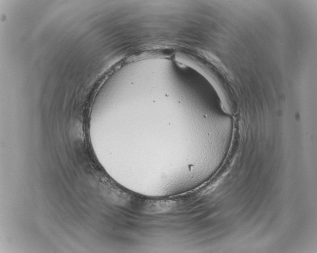 X0000070371209200607072120