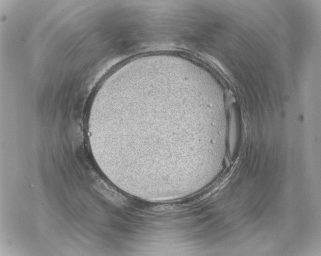 X0000070371212200607072120