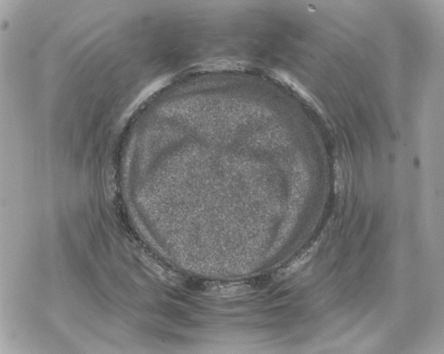 X0000070371213200607072120