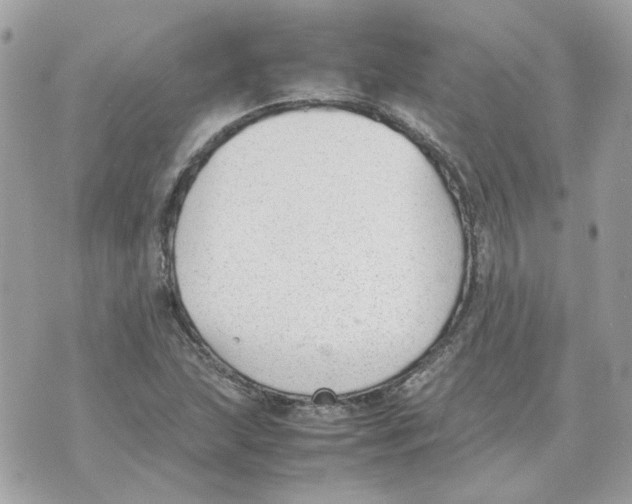 X0000070371215200607072120