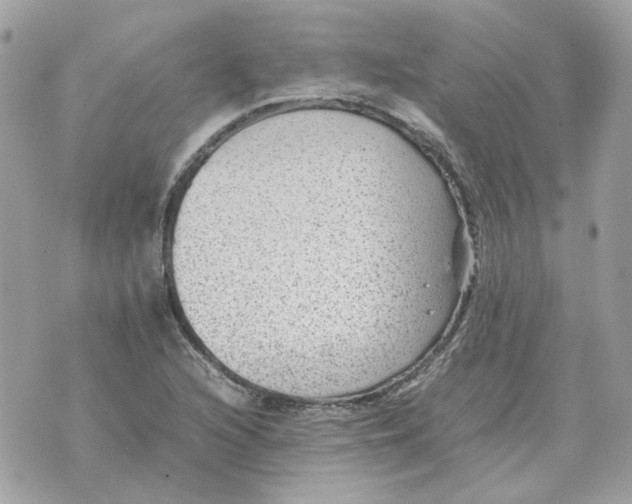 X0000070371216200607072120