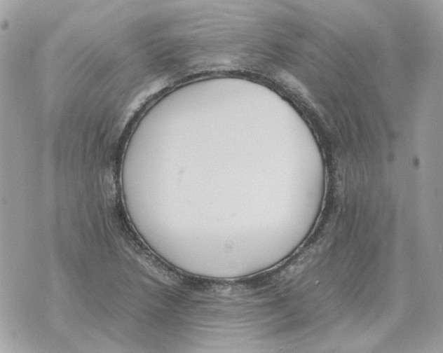 X0000070371218200607072120