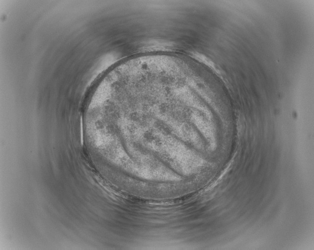 X0000070371219200607072120