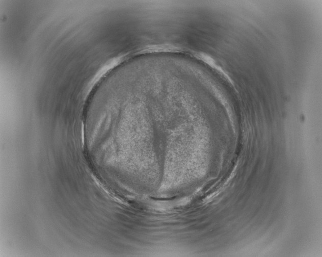 X0000070371221200607072120