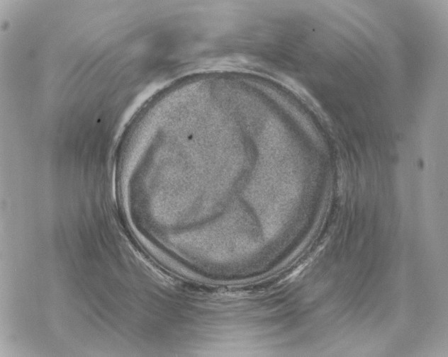 X0000070371224200607072120