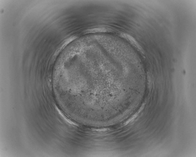 X0000070371225200607072120