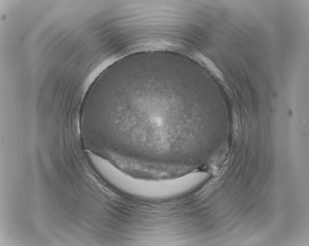 X0000070371226200607072120