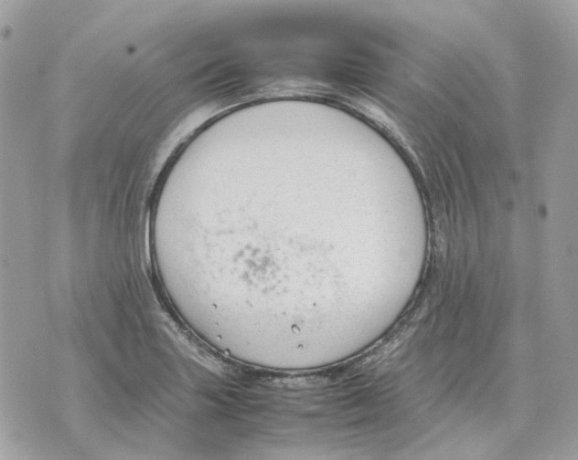 X0000070371227200607072120