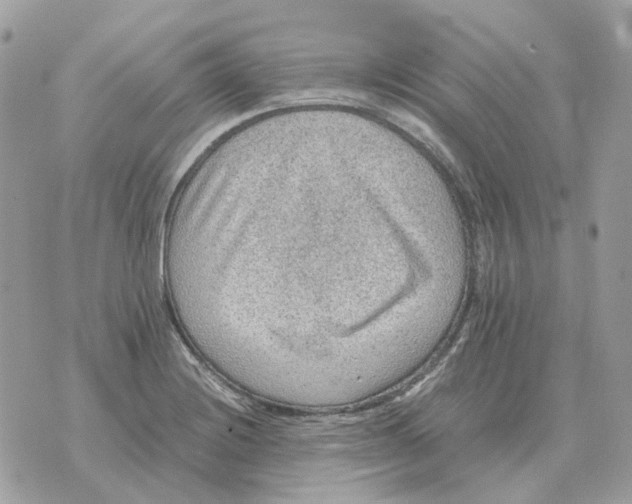 X0000070371228200607072120