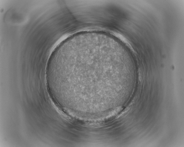 X0000070371229200607072120