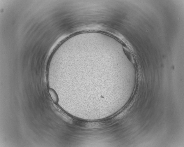 X0000070371232200607072120