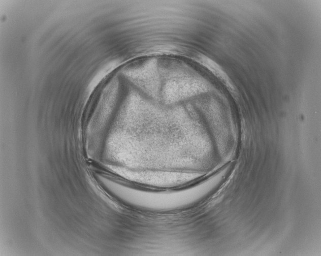 X0000070371234200607072120