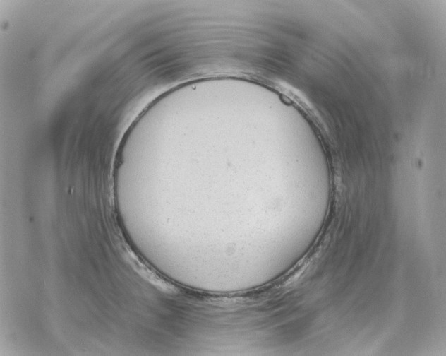 X0000070371236200607072120