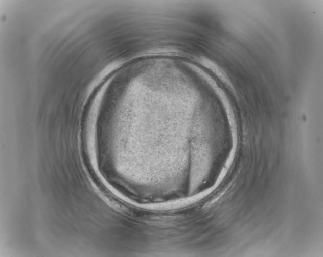 X0000070371237200607072120