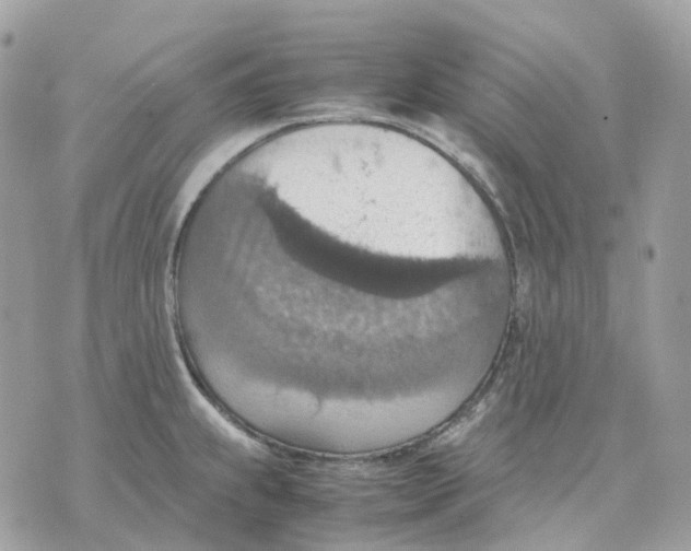 X0000070371239200607072120