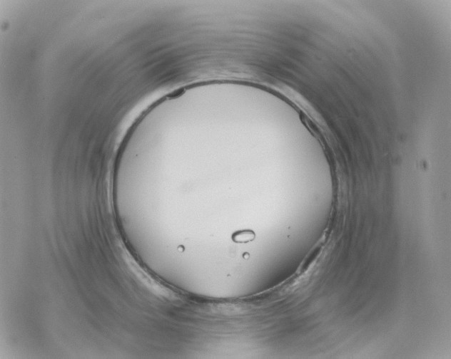 X0000070371246200607072120