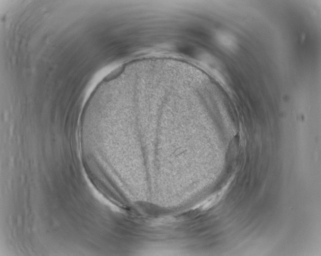 X0000070371247200607072120