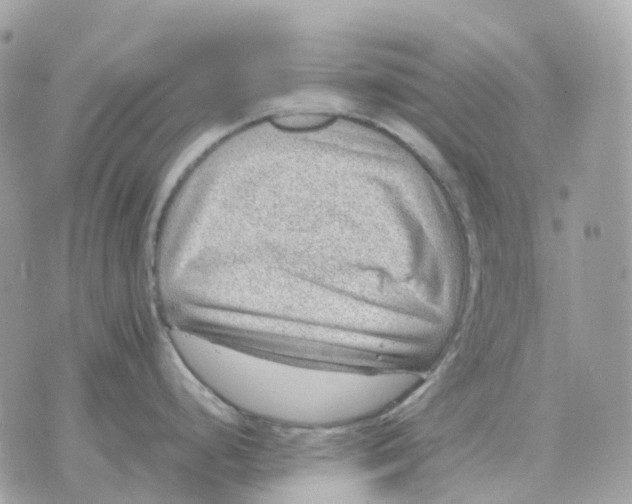 X0000070371248200607072120