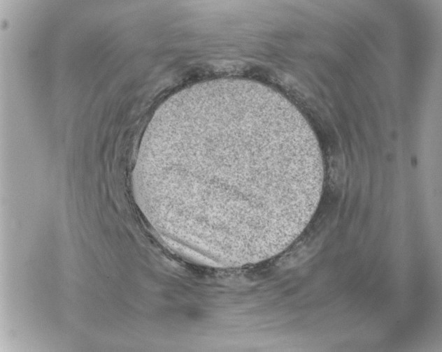 X0000070371249200607072120