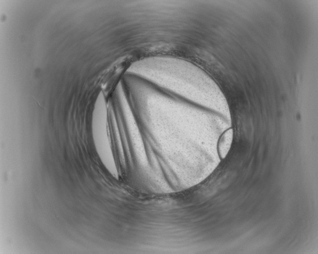 X0000070371250200607072120