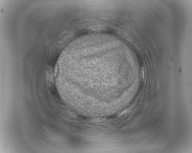 X0000070371251200607072120