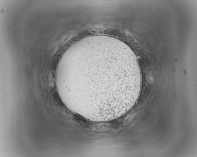 X0000070371253200607072120