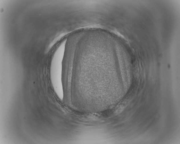 X0000070371255200607072119