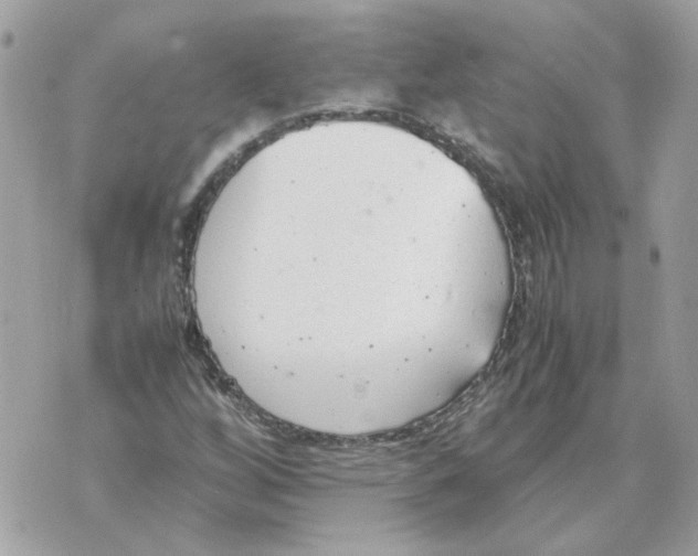 X0000070371256200607072119