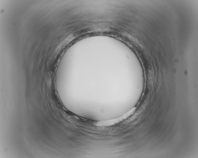 X0000070371257200607072119