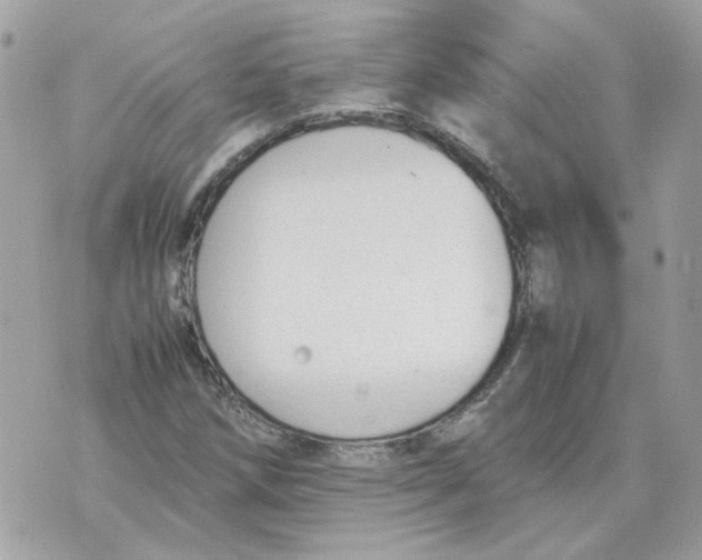 X0000070371258200607072119