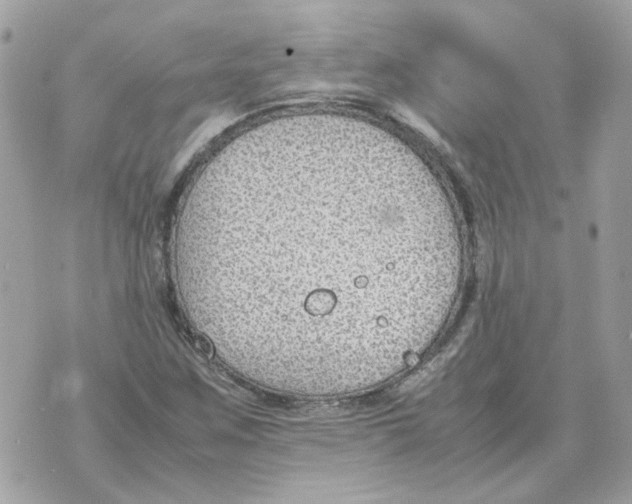 X0000070371259200607072119