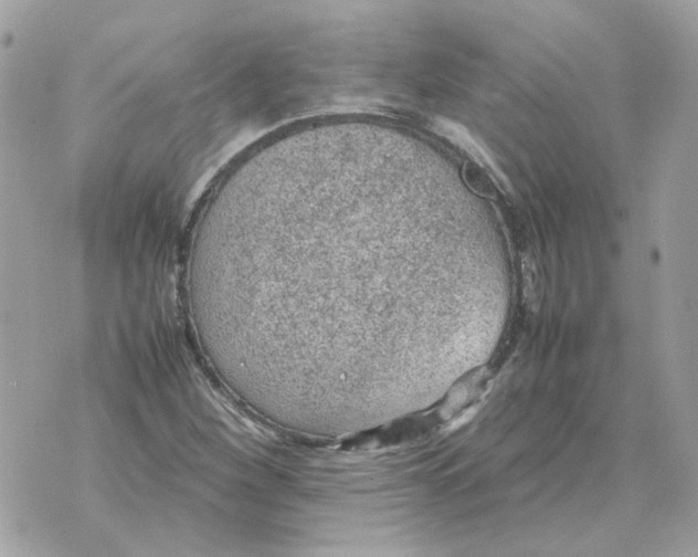 X0000070371260200607072119