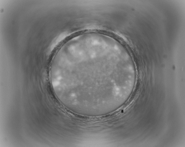 X0000070371263200607072119