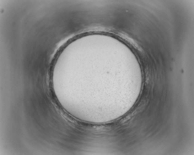 X0000070371264200607072119