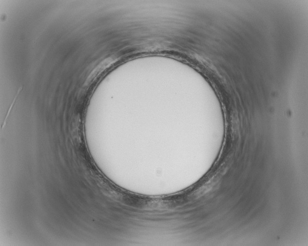 X0000070371265200607072119