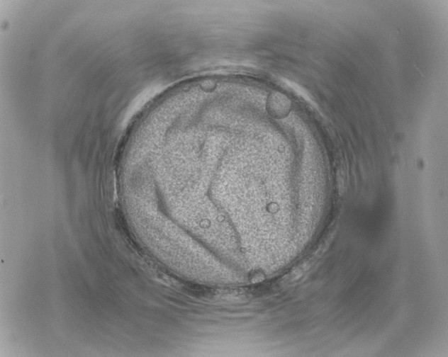 X0000070371267200607072119