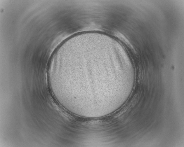 X0000070371268200607072119