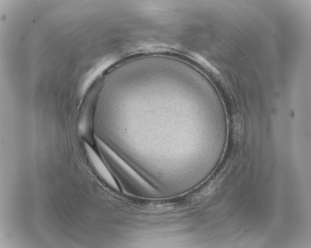 X0000070371269200607072119