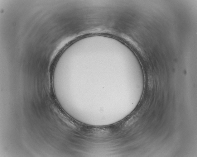 X0000070371270200607072119