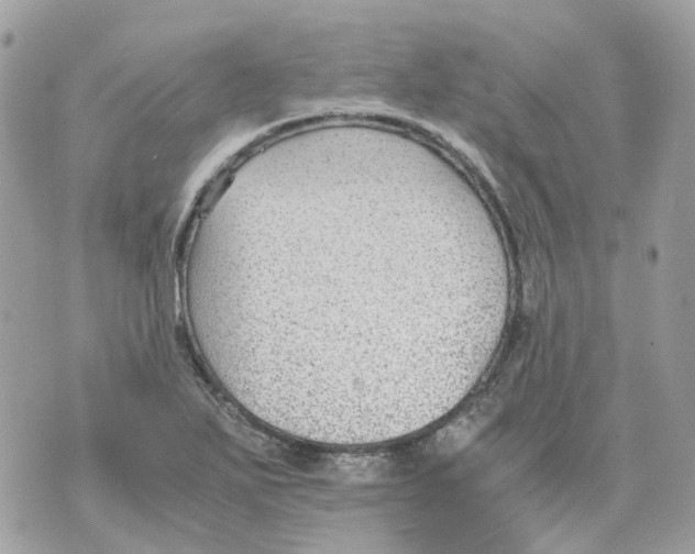 X0000070371271200607072119