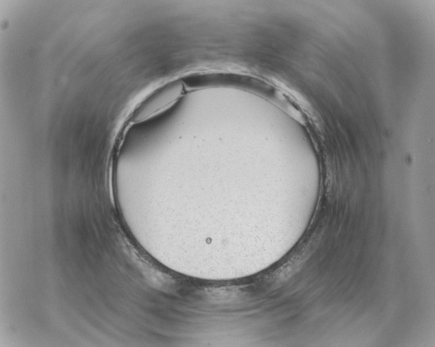 X0000070371272200607072119