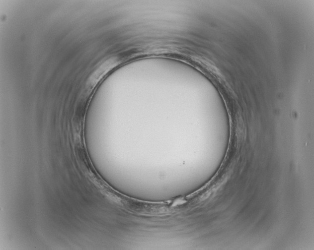 X0000070371273200607072119