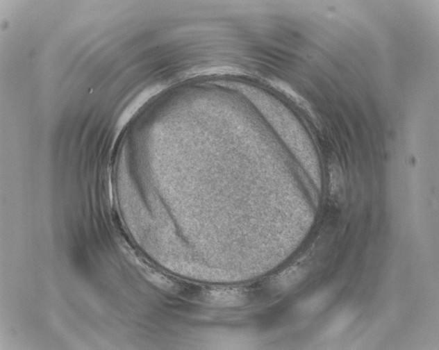 X0000070371274200607072119