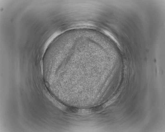 X0000070371275200607072119