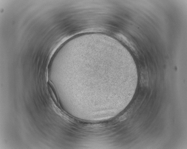 X0000070371276200607072119