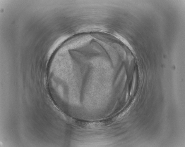 X0000070371277200607072119